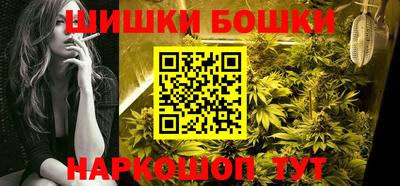 СК Сланцы