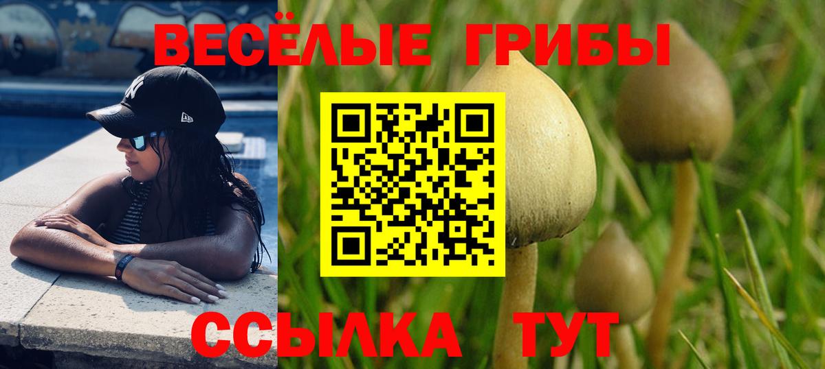 Новороссийск  Псилоцибиновые грибы MAGIC MUSHROOMS  магазин продажи наркотиков  Вход с VPN 